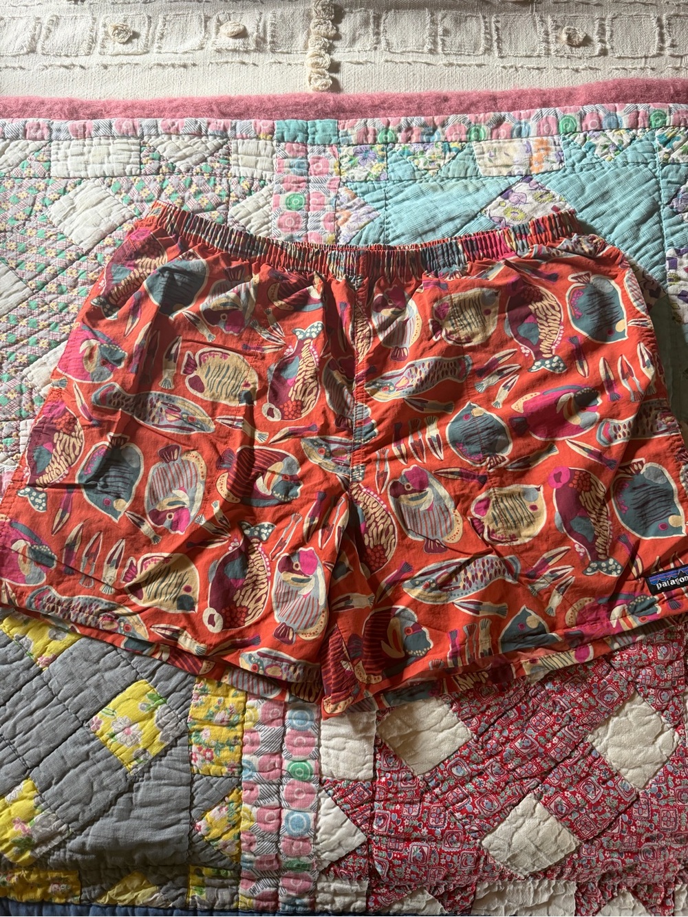 Patagonia Women's Coral Wrasse Fish-Print Elastic Waist Shorts